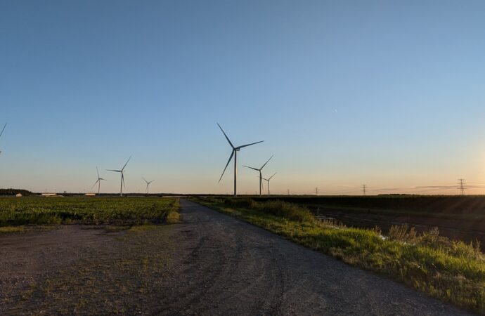 Impact windmolenparken op vogels en vleermuizen